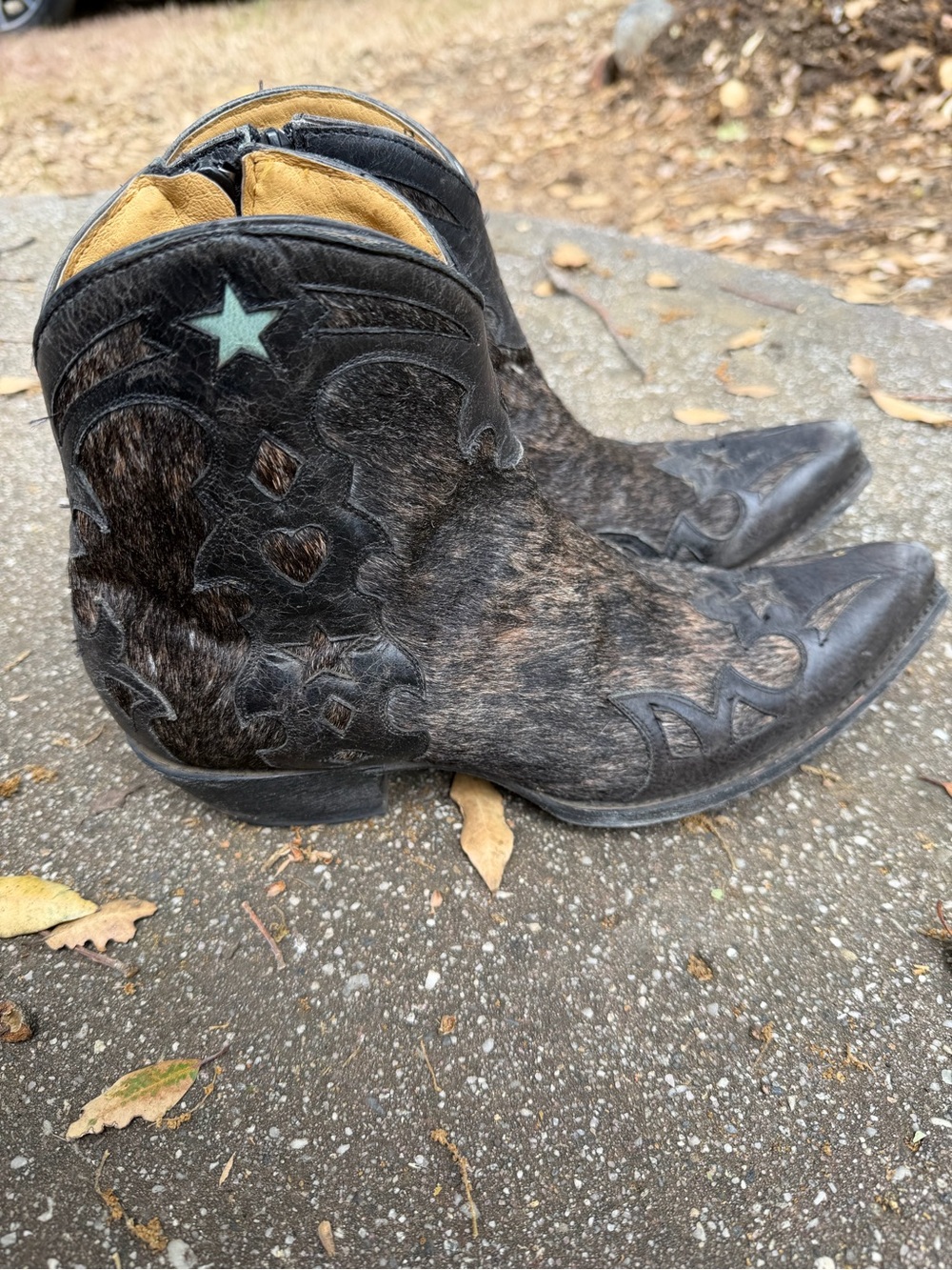 Old Gringo Black Hair-on-Hide Star Accent Ankle Booties - Picture 3 of 6